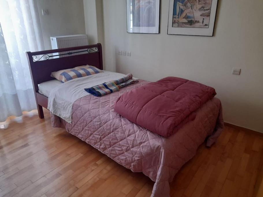 Appartement ευρύχωρο και άνετο Larissa